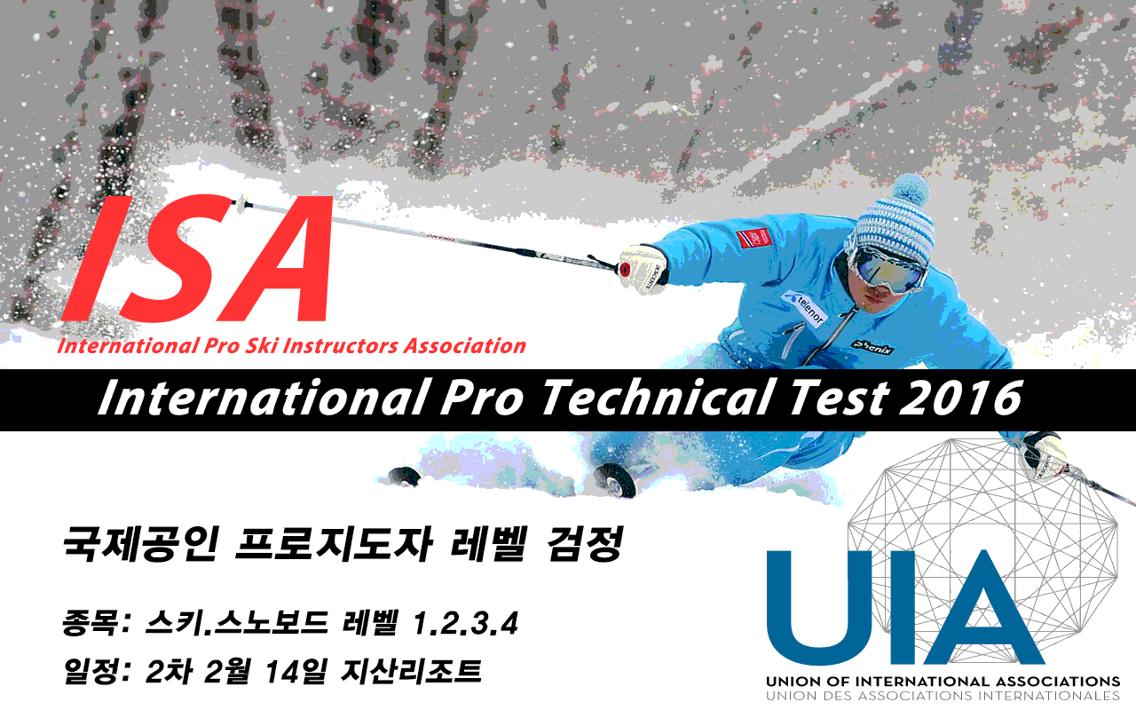 2016-ISA-Technical-Test.gif